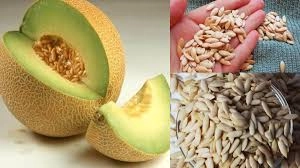 Melon Seeds: A Superfood with 5 Great Uses You Shouldn't Waste
