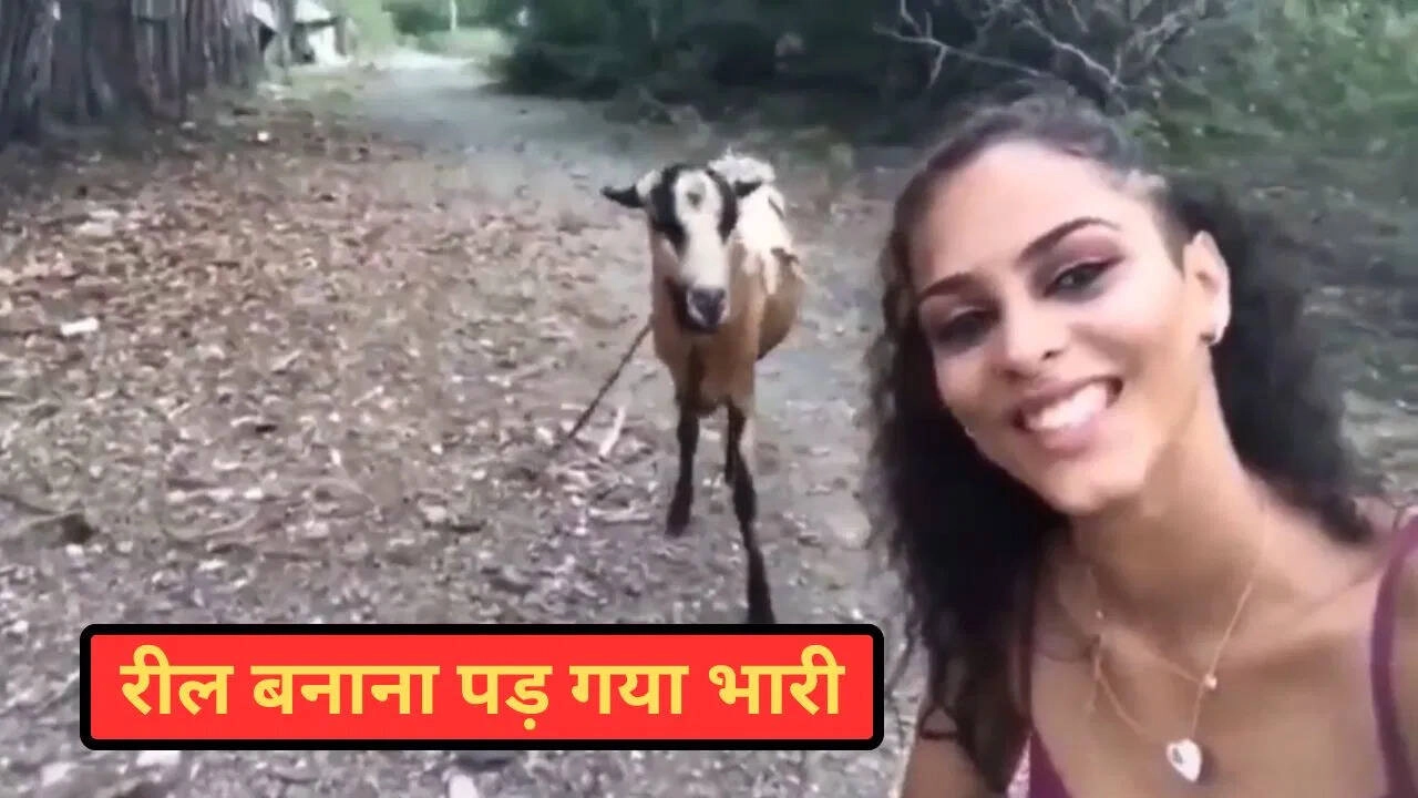 Girl Makes Reel with Goat, Hilarious Viral Video Moment