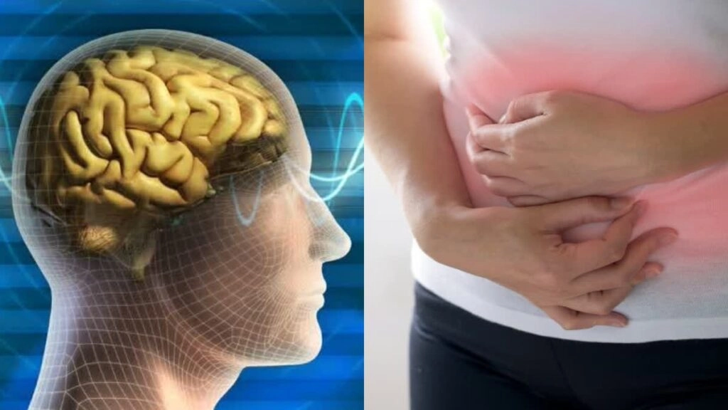 Fiber Intake: How It Affects Mental Health and Brain Connection