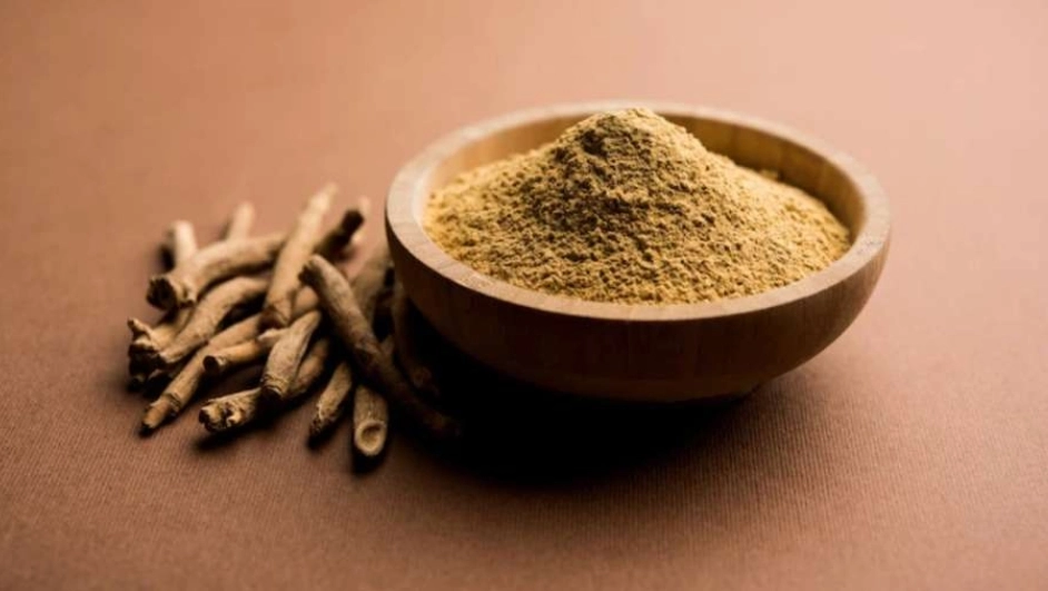 Ashwagandha: A Natural Aid for Controlling Uric Acid