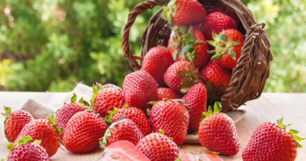 Top 5 Fruits for Kidney Health Boost