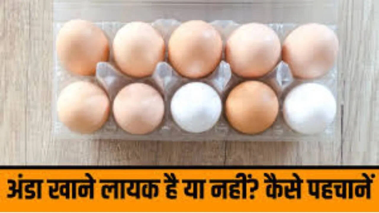 Egg Freshness: Shelf Life and Expiry Date Guidelines in UP