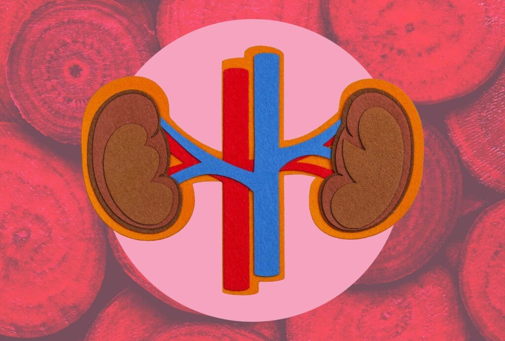 Effects of Beets on Kidney Health