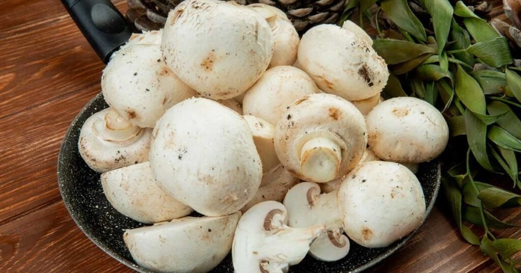 7 Health Benefits of Mushrooms: A Superfood for You