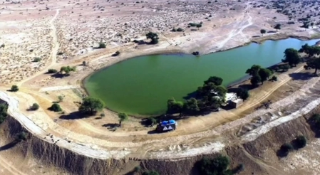 Rajasthan Government Launches Major 'Oran' Conservation Initiative
