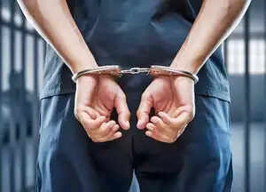 Noida Violence: Over 700 Arrested, Investigation Intensified