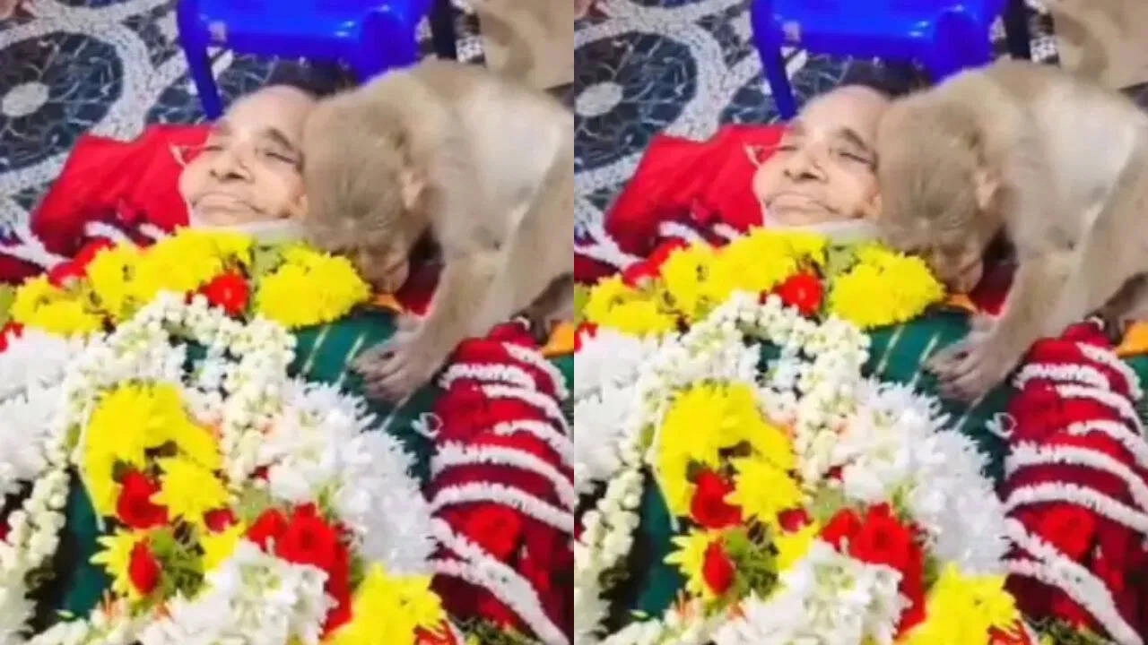 Emotional Scene at 85-Year-Old Woman's Funeral in Karnataka