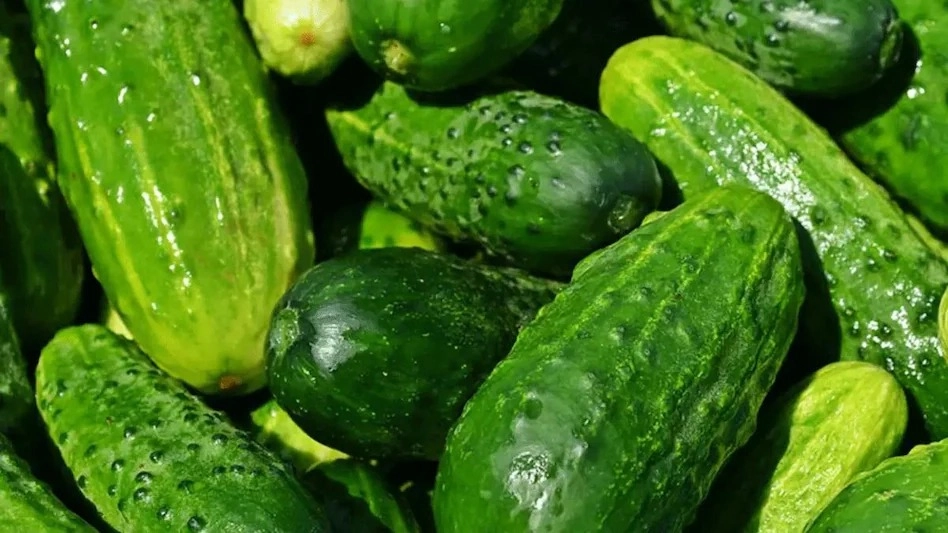 Cucumber: A Boon for Body and Skin Benefits Explained!