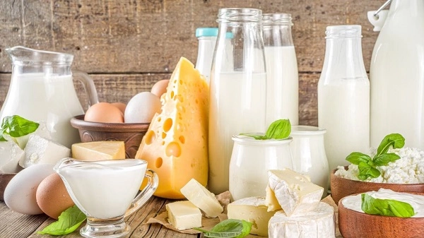 Dangers of Excess Dairy Consumption for Certain Individuals