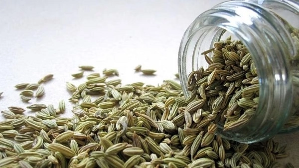 Fennel Consumption in Summer: Benefits and Risks