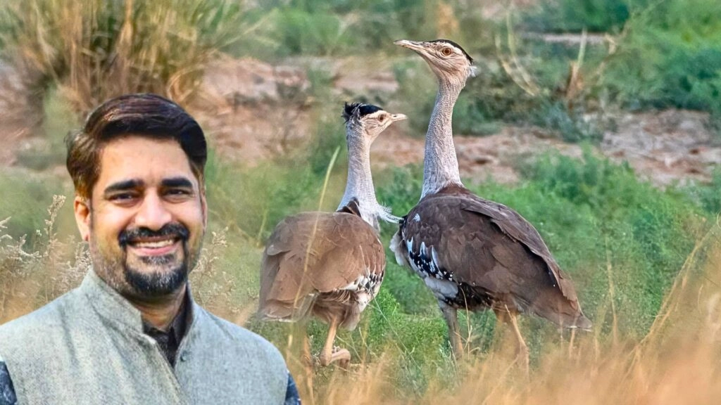 Great Indian Bustard Chick Excites Experts Amid Habitat Crisis