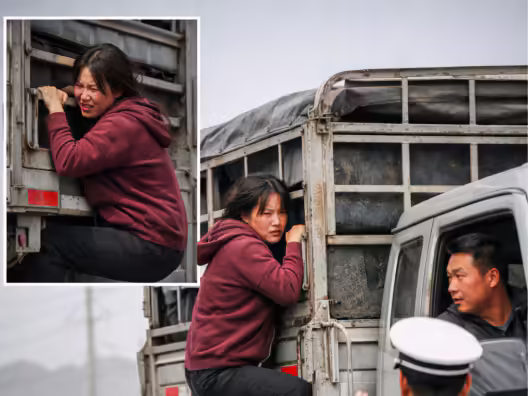 Wife Hangs from Moving Truck After Suspecting Husband, Viral Video