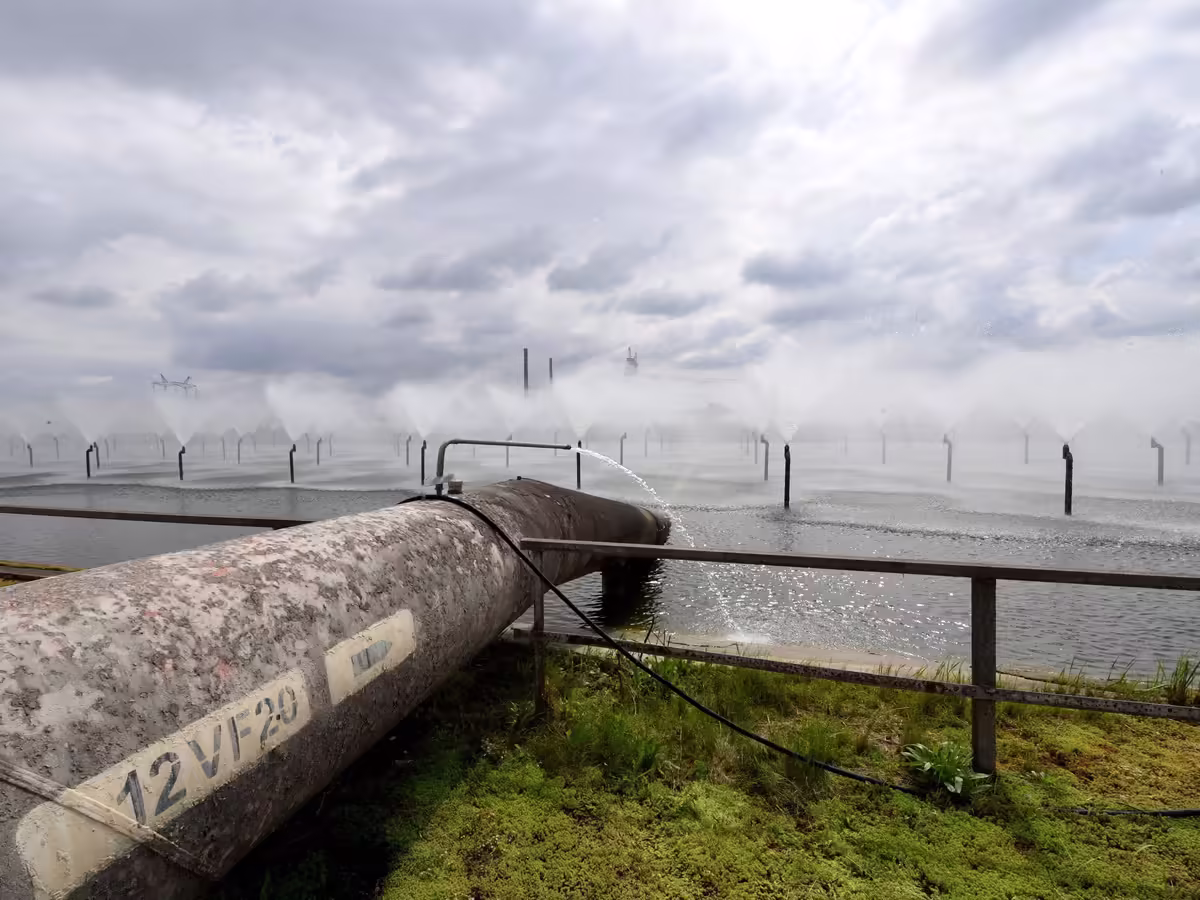 Old Reports on New York's Indian Point Nuclear Plant Resurface