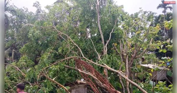 Severe Damage in Dullabchhada from Kalbaisakhi Storm