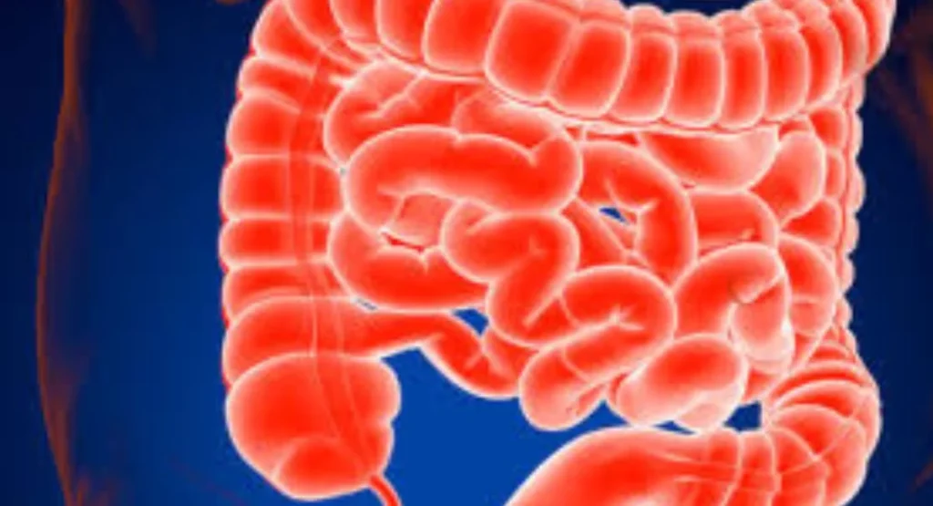 Gas and Stomach Pain After Eating? It Could Be Serious