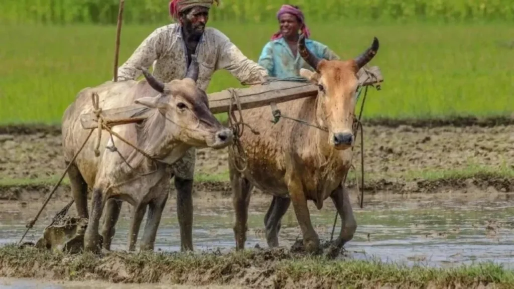 PM Kisan 23rd Installment: Complete This Task to Avoid Delays