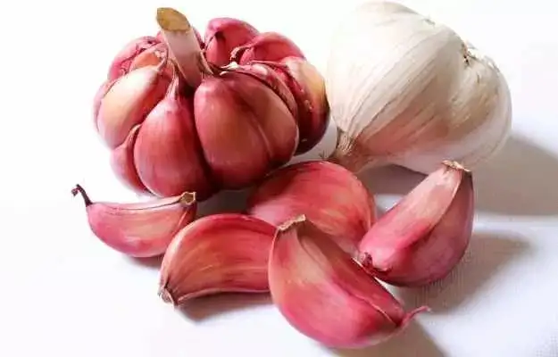 Home Remedies and Tips for Constipation Relief