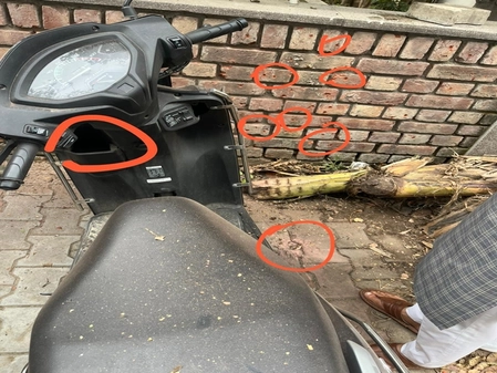 Blast Outside BJP Office in Chandigarh, Police Launch Investigation