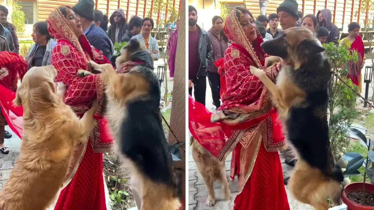 Emotional Farewell: Bride's Loyal Friends Moved, Video Goes Viral