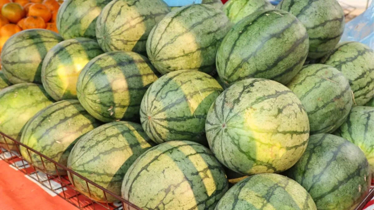 Surprising Facts About Watermelons That Will Amaze You