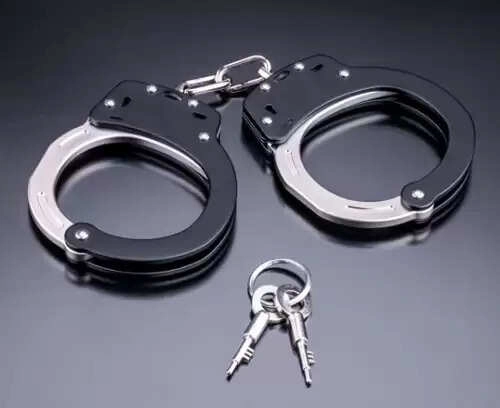Major Drug Bust in Madhya Pradesh: Over 2 Crore in Narcotics Seized