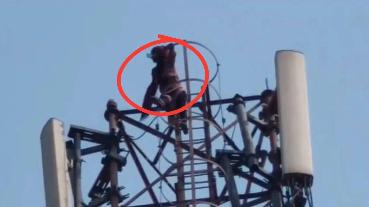 High-Voltage Drama in Motihari: Sister-in-Law Climbs Tower in Protest