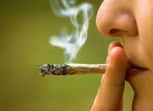 Study: Cigarettes and Marijuana Shrink Brain, Impair Memory