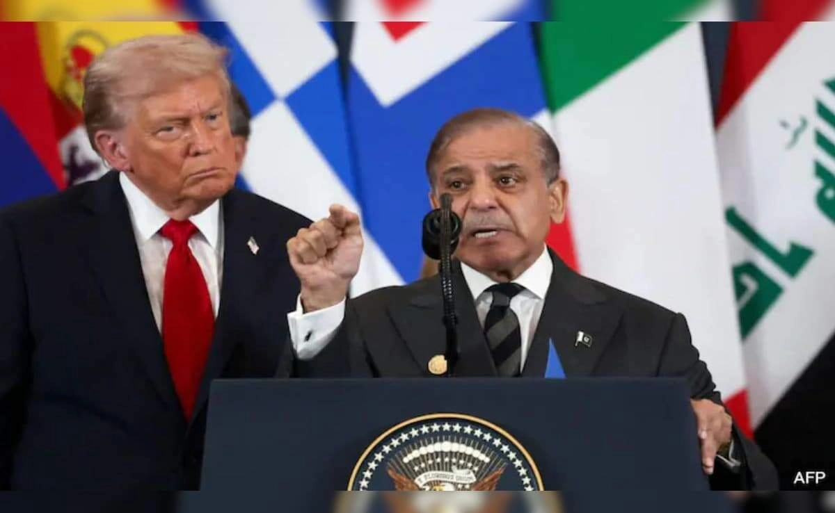 Shehbaz Sharif's Moves at Trump's Behest: US Sends Key Message