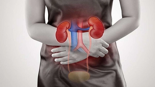 Don’t Ignore These Symptoms of Kidney Damage