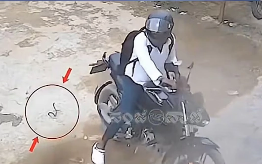 Snake Attacks Youth After Bike Incident: Watch the Video