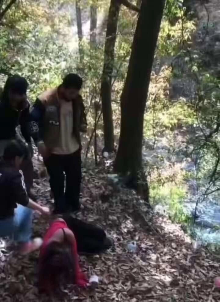 Viral Video: Dad's Fairies Clash in Hilarious Mountain Fight