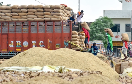 Cabinet Approves ₹25,530 Crore 'Sarthak' PDS Scheme for 5 Years