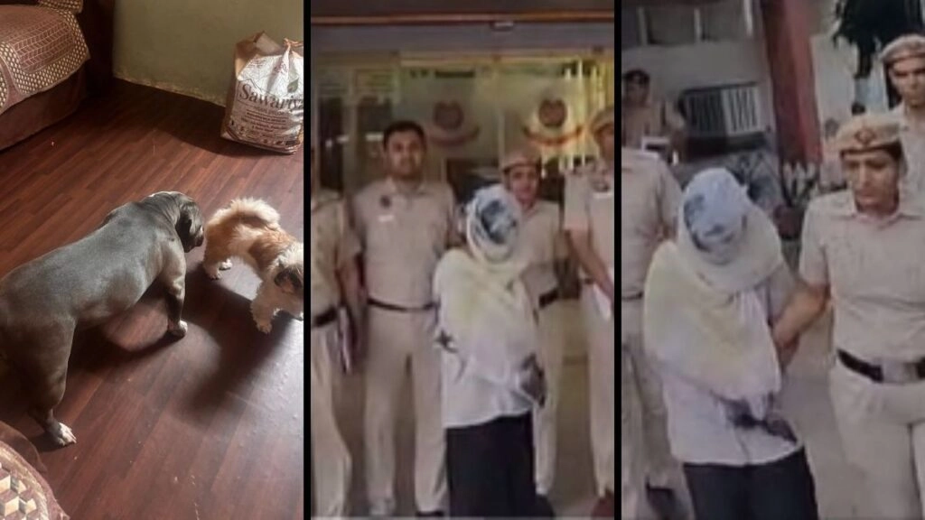 High-Voltage Raid in Shalimar Bagh: Female Suspect Arrested