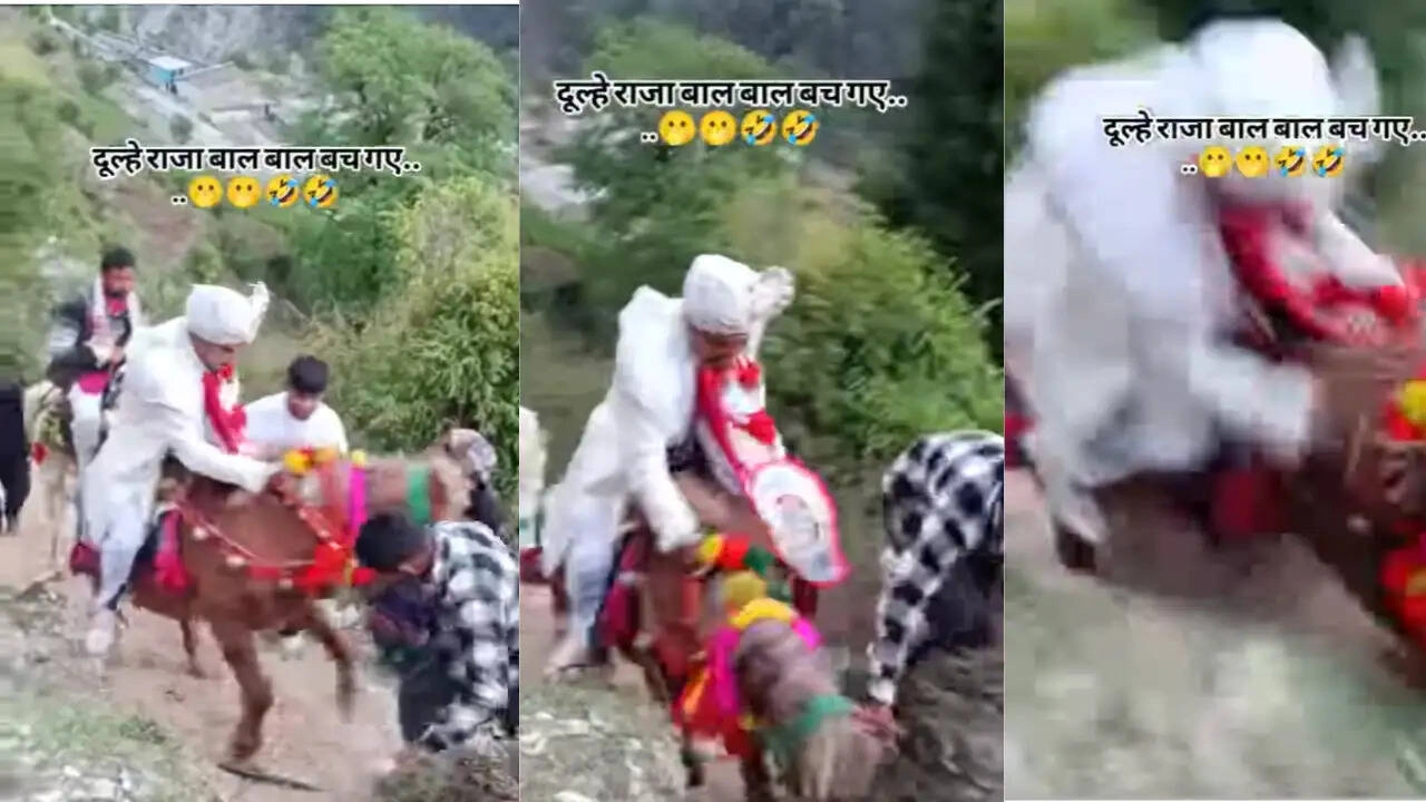 Wedding Parade on Donkey: Hilarious Incident Goes Viral