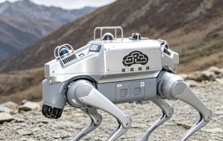 China's First High-Altitude Inspection Robot Dog: A Tech Milestone