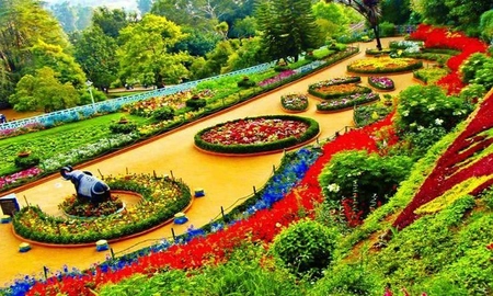 Tamil Nadu: Uti Flower Festival Begins, Thousands Expected