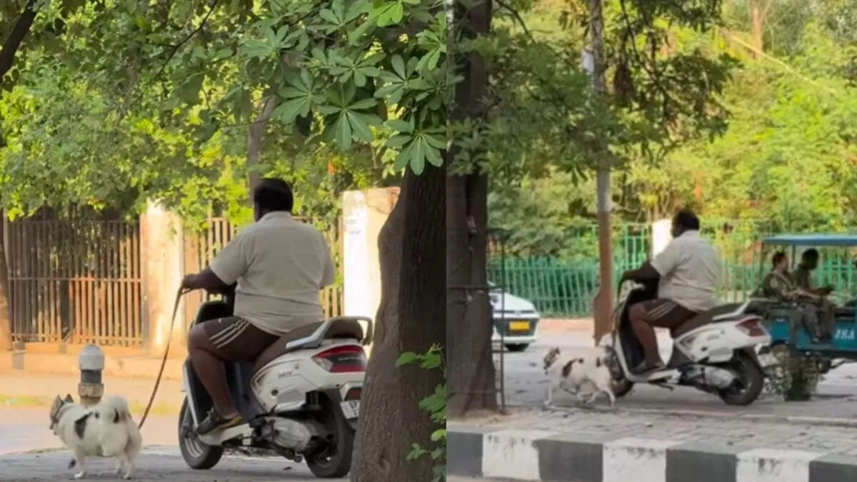 Lucknow Viral Video: Man Rides Scooter with Dog, Calls Him 'Nawab'