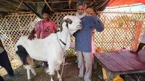Kapil Mishra's Warning: Political Tensions Rise Before Bakrid