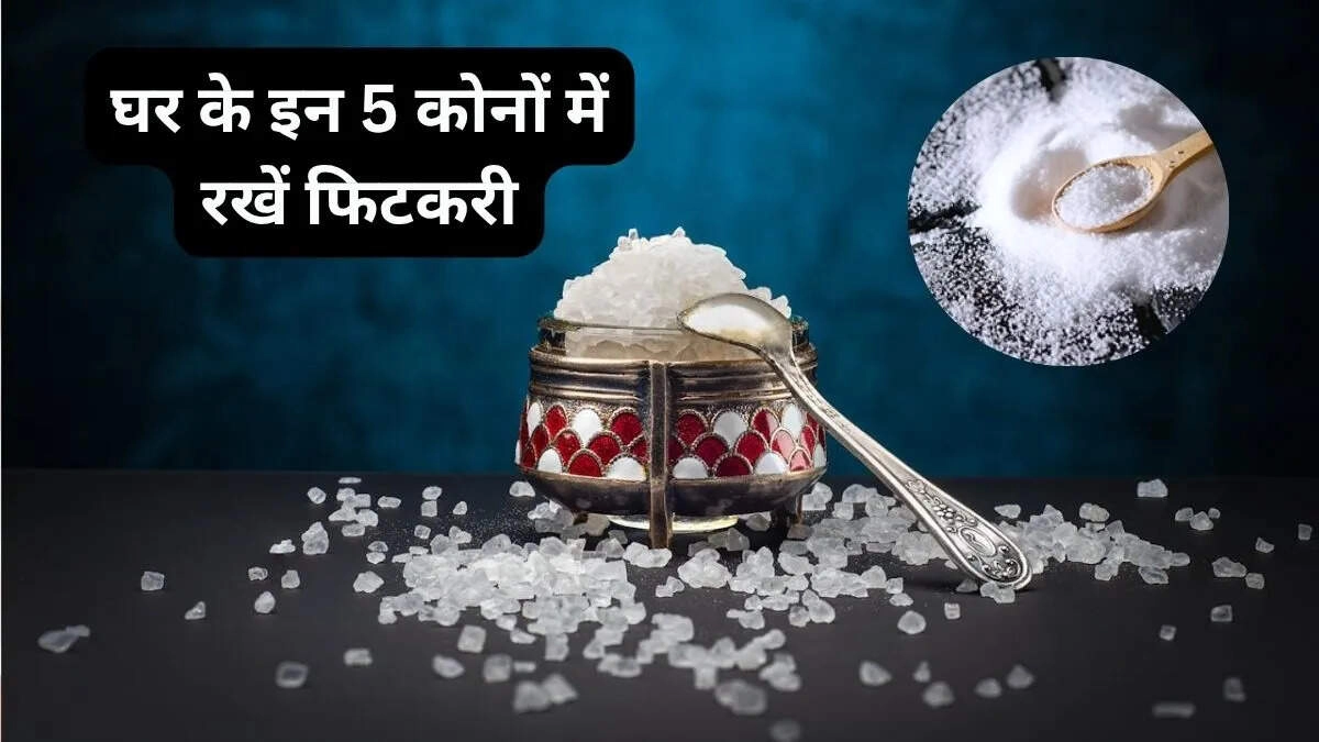 Vastu Tips: Place These White Items for Wealth Blessings