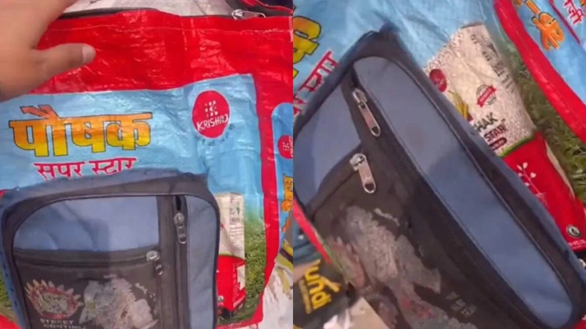 Have You Seen This Creative Backpack of the Little Girl?