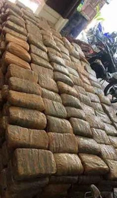 2.05 Crore Rupees of Hydroponic Weed Seized at Mumbai Airport