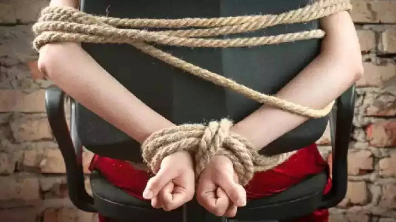 Business Meeting Turns to Kidnapping; Watch Jaipur Theft Video