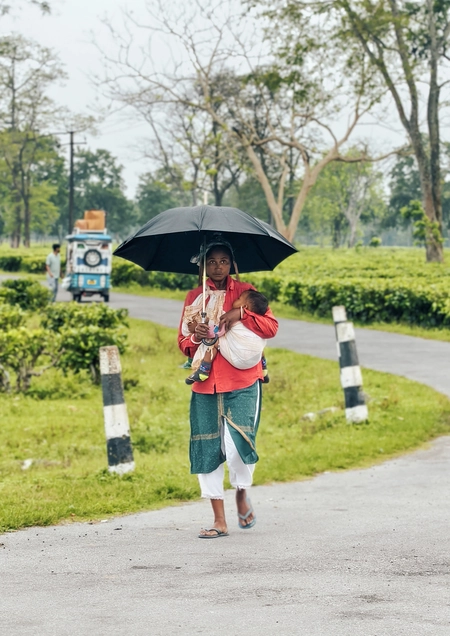 Assam's Maternal Mortality Rate Drops to 84, Better than National Average