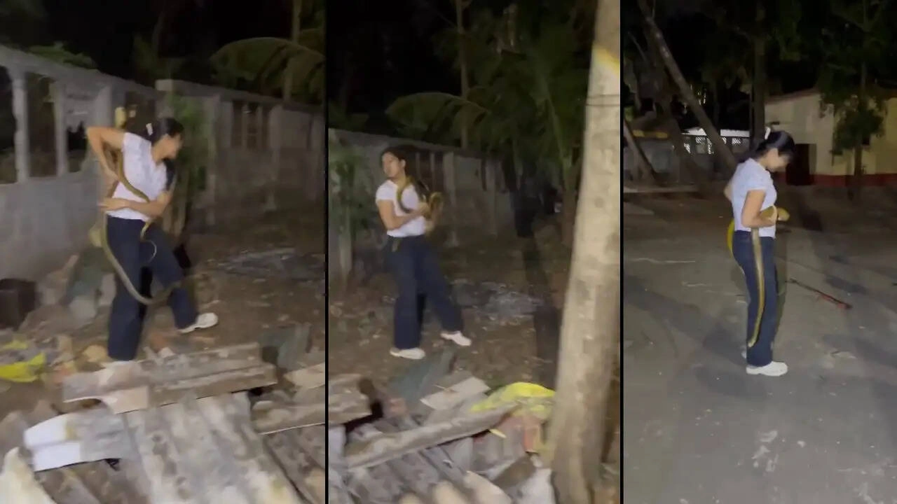 5-Foot Cobra Caught by Hand: Shocking Video of 'Didi'