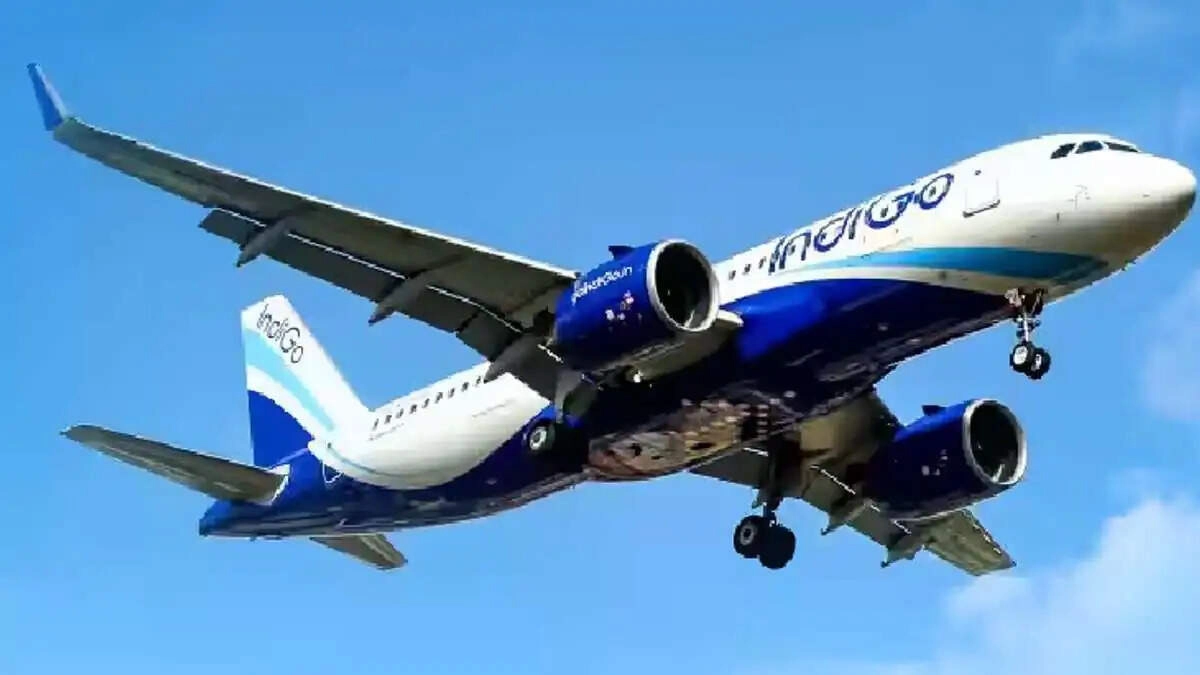 Bird Strikes Plane on Takeoff; Flight Safely Returns - Video Inside