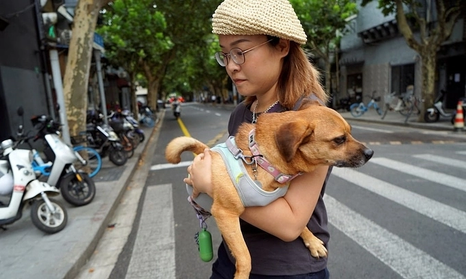 Dog Preschools Thrive in China as Owners Pamper Pets Like Kids