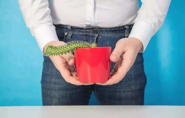 Erectile Dysfunction: A Serious Warning for Heart Disease