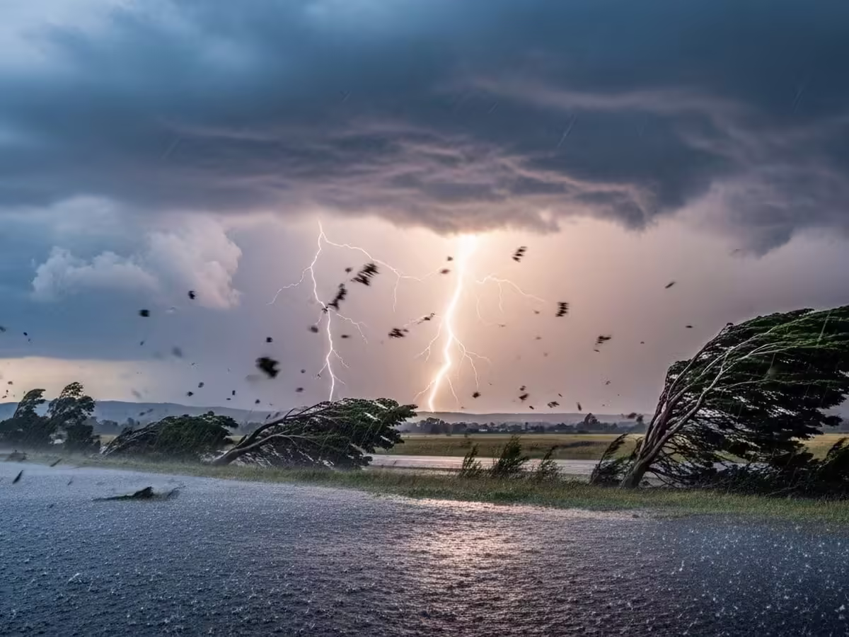 Rain Alert: Monsoon Active in UP and Surrounding States