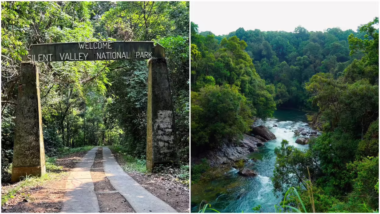 Rainy Season Plans: Explore India's Adventure Wildlife Parks