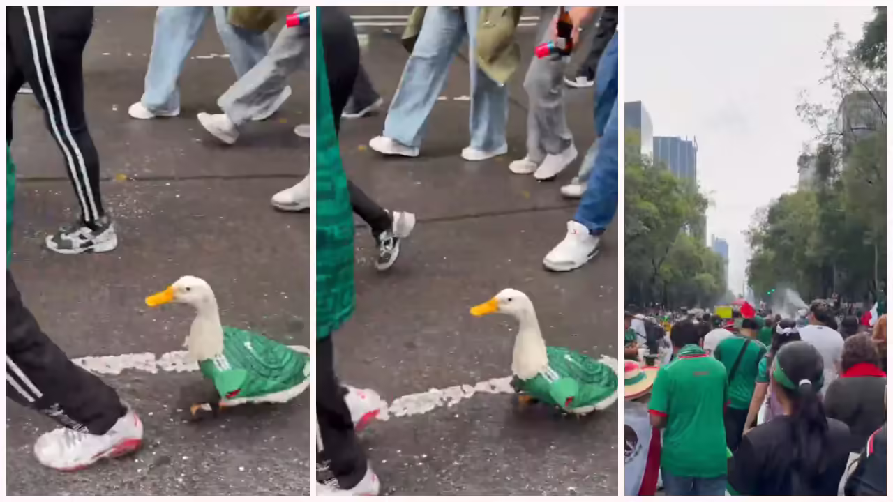 Viral Video: Duck Becomes Football Fan in Mexico Jersey